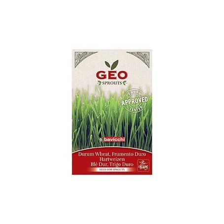 Blé Dur - Graines à germer bio - 80g