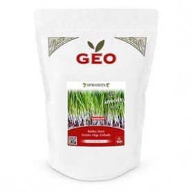 Orge - Graines à germer bio - 600g