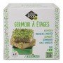Germoir à 2 étages
