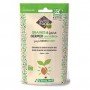Trèfle rouge - Graines à germer bio - 150g