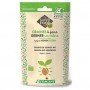 Quinoa - Graines à germer bio - 200g