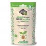 Poireau - Graines à germer bio -  50g