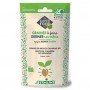 Brocoli calabrais - Graines à germer bio - 100g