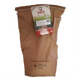 Fenugrec - Graines à germer bio - 5kg