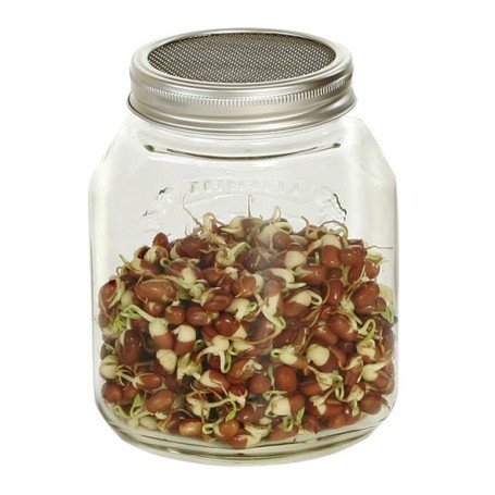 Germoir verre 1000ml sans support Germoir verre 1000ml sans support