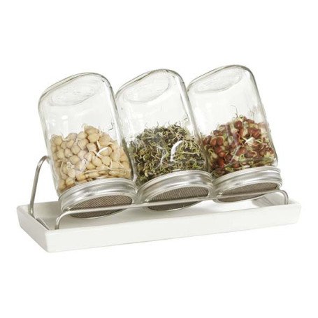 Kit 3 germoirs verre 1000ml avec support inox et plateau ceramique blanc Kit 3 germoirs verre 1000ml avec support inox et plateau ceramique blanc