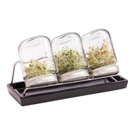 Kit 3 germoirs verre 750ml avec support inox et plateau ceramique anthracite