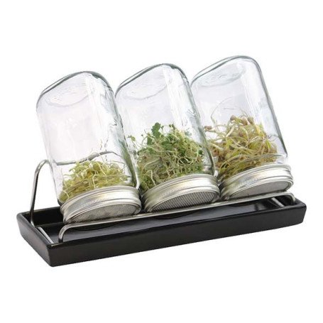 Kit 3 germoirs verre 1000ml avec support inox et plateau ceramique anthracite Kit 3 germoirs verre 1000ml avec support inox et plateau ceramique anthracite
