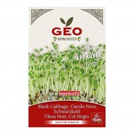 Photo Chou Kale Noir - Graines à germer bio - 12g Geo