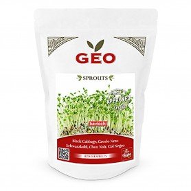 Photo Chou Kale Noir - Graines à germer bio - 300g Geo