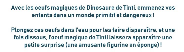 Description Oeuf Dinosaure tinti