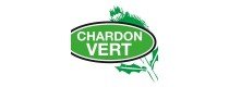 Chardon Vert