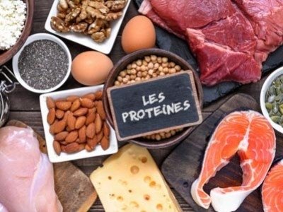 Les protéines : éléments constitutifs de la vie