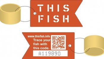 ThisFish : système de traçabilité pour connaître la provenance des poissons